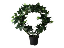 Konstväxt Murgröna 38 cm